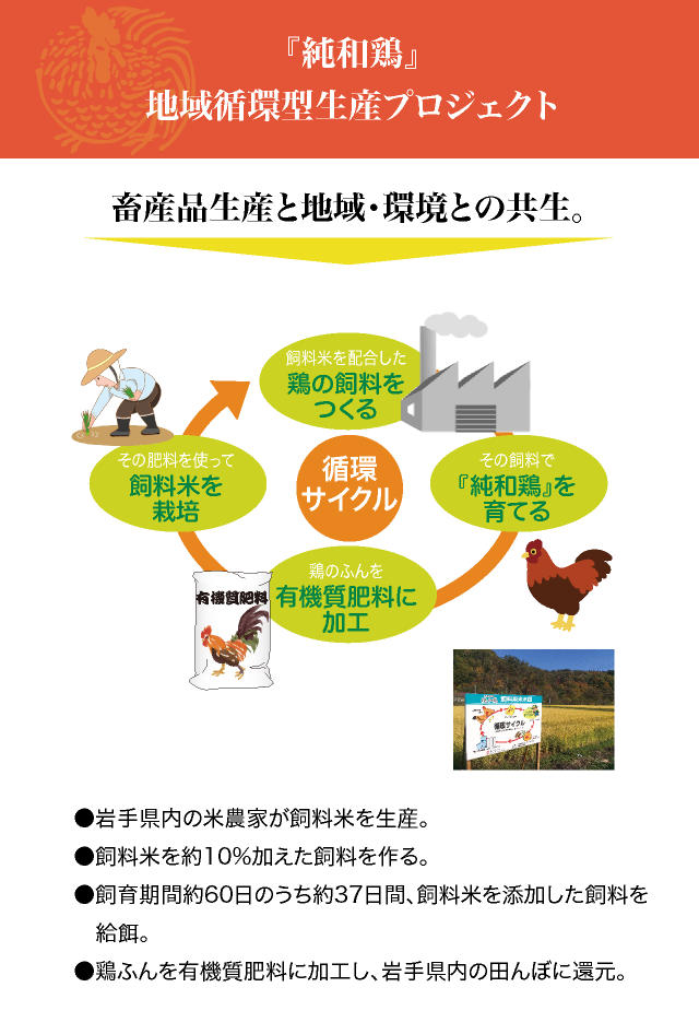 『純和鶏』地域循環型生産プロジェクト